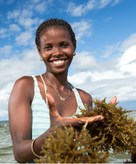 Woman holding seaweed, Credit: Blue Ventures | Garth Cripps